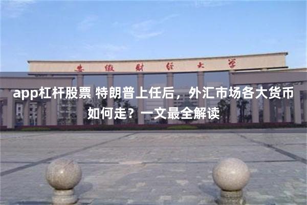 app杠杆股票 特朗普上任后，外汇市场各大货币如何走？一文最全解读