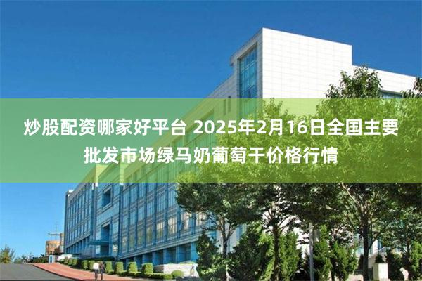 炒股配资哪家好平台 2025年2月16日全国主要批发市场绿马奶葡萄干价格行情