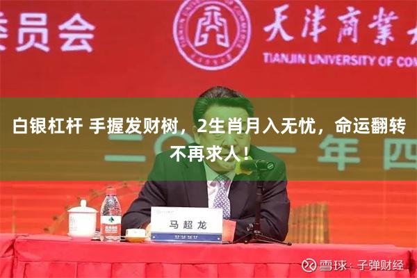 白银杠杆 手握发财树，2生肖月入无忧，命运翻转不再求人！