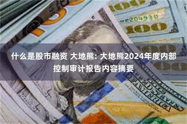 什么是股市融资 大地熊: 大地熊2024年度内部控制审计报告内容摘要