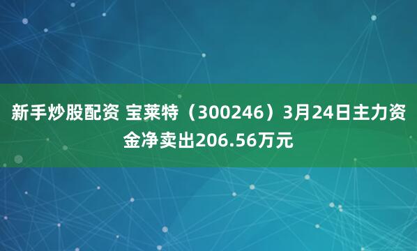 新手炒股配资 宝莱特（300246）3月24日主力资金净卖出206.56万元