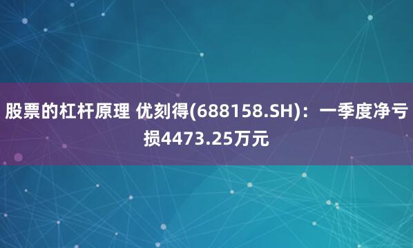 股票的杠杆原理 优刻得(688158.SH)：一季度净亏损4473.25万元