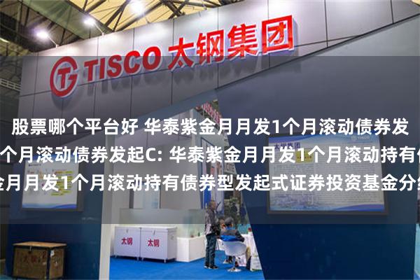 股票哪个平台好 华泰紫金月月发1个月滚动债券发起A,华泰紫金月月发1个月滚动债券发起C: 华泰紫金月月发1个月滚动持有债券型发起式证券投资基金分红公告