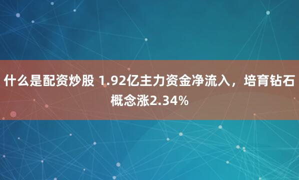 什么是配资炒股 1.92亿主力资金净流入，培育钻石概念涨2.34%